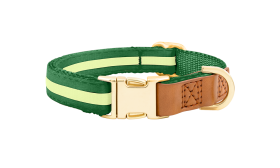 Grünes Hundehalsband mit verstellbarem goldenen Metallverschluss, 27-40 cm Länge und 1,5 cm breit, mit D-Ring.