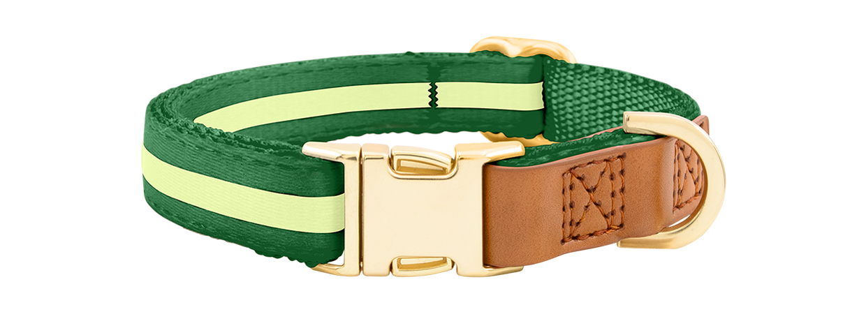 Hundehalsband mit Schnalle Grünes Hundehalsband mit verstellbarem goldenen Metallverschluss, 27-40 cm Länge und 1,5 cm breit, mit D-Ring.