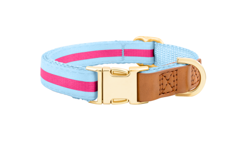 Helles blaues Hundehalsband mit verstellbarem goldenen Metallverschluss, 27-40 cm Länge und 1,5 cm breit, mit D-Ring.