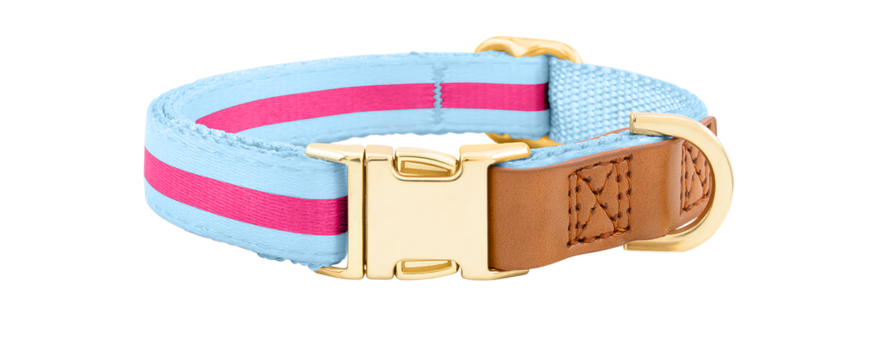 Hundehalsband mit Schnalle Helles blaues Hundehalsband mit verstellbarem goldenen Metallverschluss, 27-40 cm Länge und 1,5 cm breit, mit D-Ring.