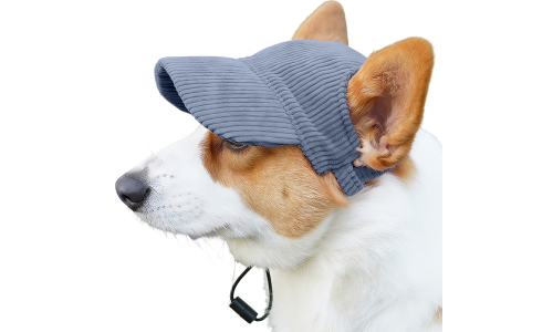 Corgi trägt einen atmungsaktiven blauen Hundesporthut, leicht, zum Sonnenschutz bei Sommerausflügen.