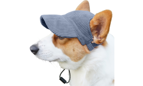 Atmungsaktive Hundesportmütze für den Sommer Corgi trägt einen atmungsaktiven blauen Hundesporthut, leicht, zum Sonnenschutz bei Sommerausflügen.