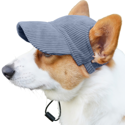 Corgi trägt einen atmungsaktiven blauen Hundesporthut, leicht, zum Sonnenschutz bei Sommerausflügen.
