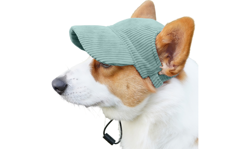 Corgi trägt einen atmungsaktiven grünen Hundesporthut, leicht, zum Sonnenschutz bei Sommerausflügen.
