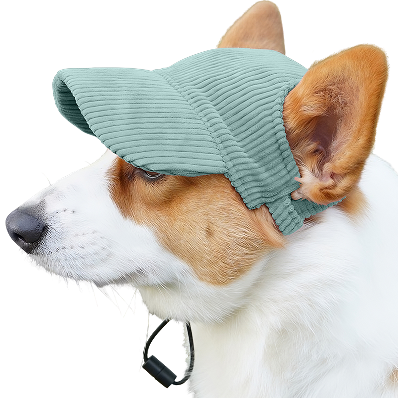 Atmungsaktive Hundesportmütze für den Sommer Corgi trägt einen atmungsaktiven grünen Hundesporthut, leicht, zum Sonnenschutz bei Sommerausflügen.