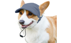 Atmungsaktive Hundesportmütze für den Sommer Corgi trägt einen atmungsaktiven blauen Hundesporthut, modisch, weich, leichtes Canvas-Material für Komfort.
