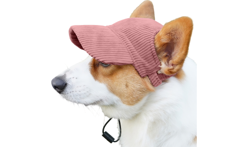 Corgi trägt einen atmungsaktiven hellrosa Hundesporthut, leicht, zum Sonnenschutz bei Sommerausflügen.