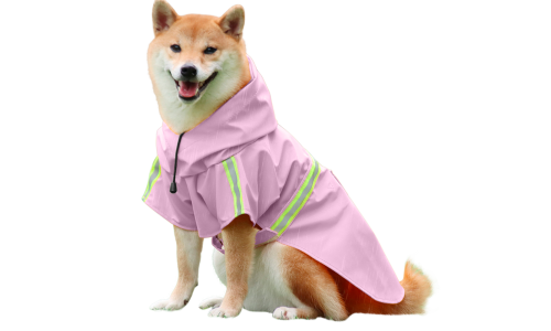 Shiba Inu in rosa Regenmantel mit reflektierenden Streifen, einfach an- und auszuziehende Riemen, für Spaziergänge.