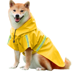 Shiba Inu in gelbem Regenmantel mit reflektierenden Streifen, einfach an- und auszuziehende Riemen, für Spaziergänge.