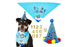 Blaues Hundebirthday-Set mit buntem 'It's My Birthday!' Bandana, leicht für Komfort.
