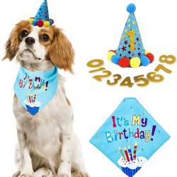 Blaues Hundebirthday-Set mit buntem 'It's My Birthday!' Bandana, weich und langlebig.