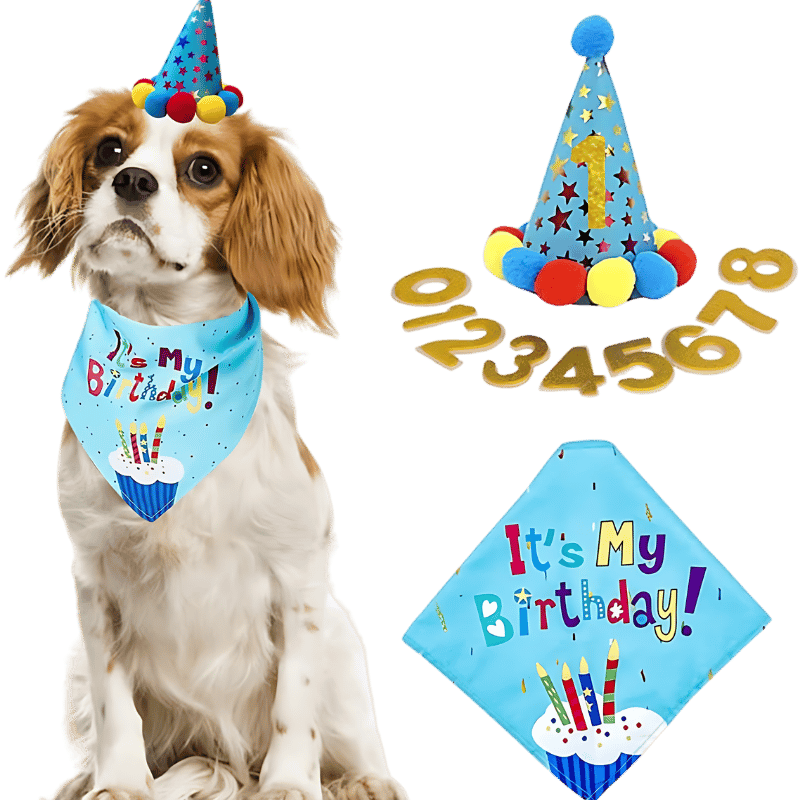Bandana-Set für Hundegeburtstage Blaues Hundebirthday-Set mit buntem 'It's My Birthday!' Bandana, weich und langlebig.
