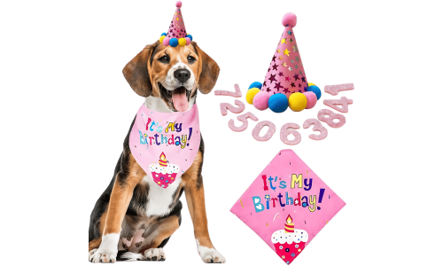 Rosa Hundebirthday-Set mit buntem 'It's My Birthday!' Bandana, weich und langlebig.