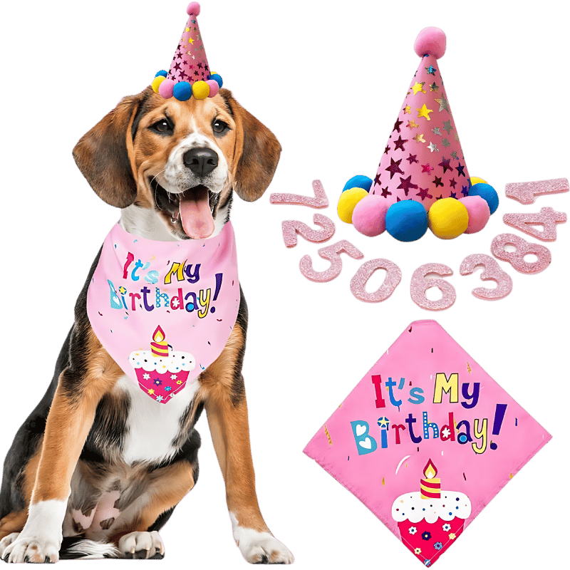 Bandana-Set für Hundegeburtstage Rosa Hundebirthday-Set mit buntem 'It's My Birthday!' Bandana, weich und langlebig.