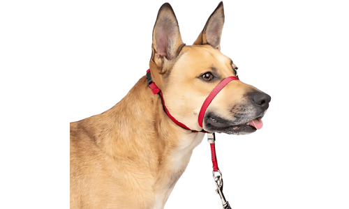 Rotes No-Pull Hundekopfgeschirr, verstellbarer Riemen, gepolsterte Nasenschlaufe, Größe S.