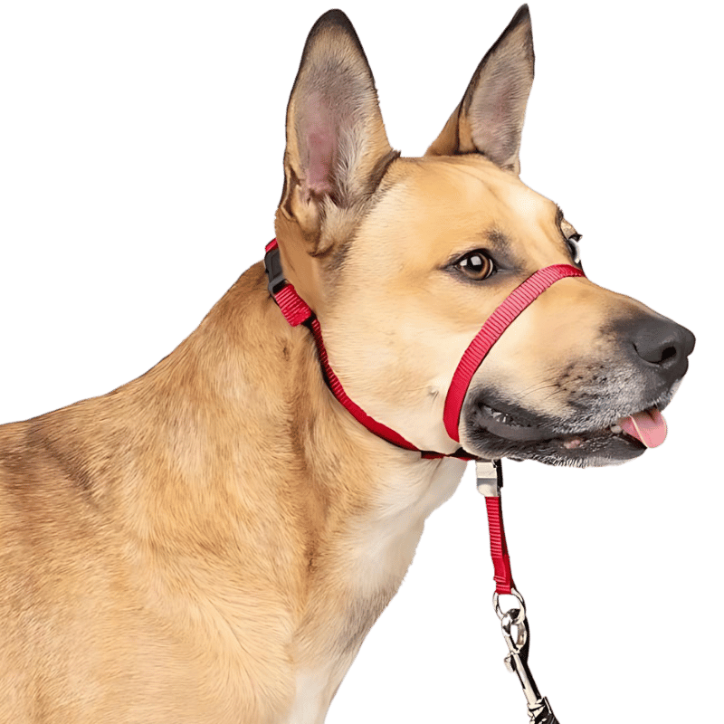 No Pull Hundehalsband mit gepolsterter Nasenschlaufe Rotes No-Pull Hundekopfgeschirr, verstellbarer Riemen, gepolsterte Nasenschlaufe, Größe S.