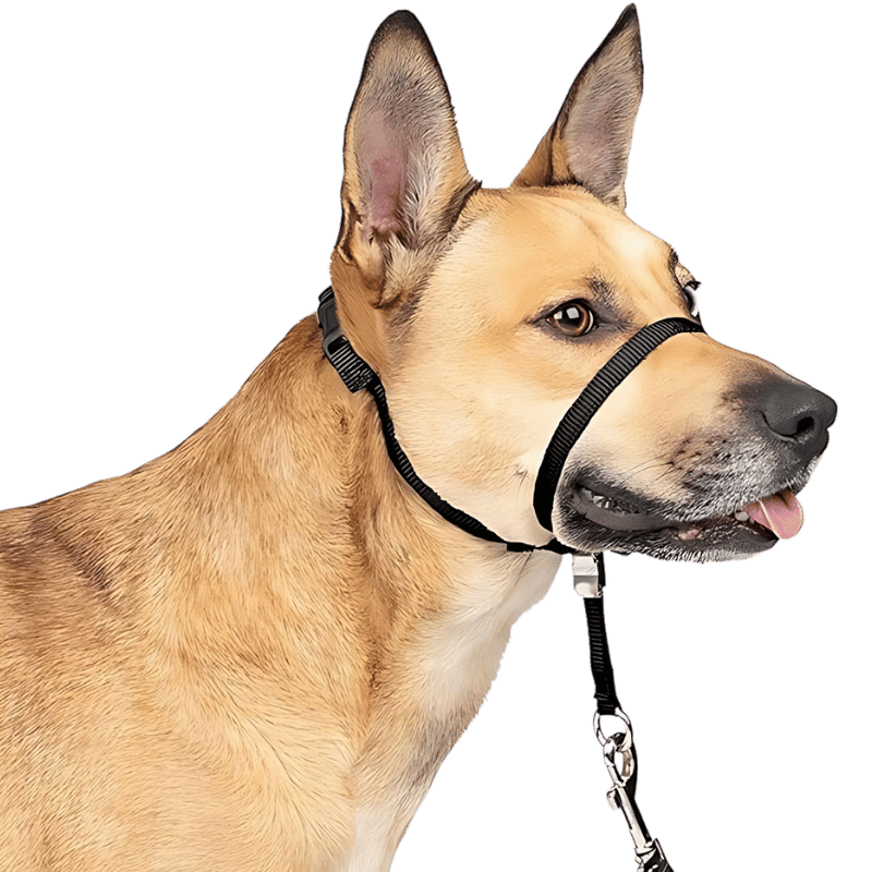 No Pull Hundehalsband mit gepolsterter Nasenschlaufe Schwarzes No-Pull Hundekopfgeschirr, verstellbarer Riemen, gepolsterte Nasenschlaufe, Größe S.