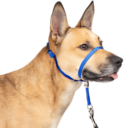 Blaues No-Pull Hundekopfgeschirr, verstellbarer Riemen, gepolsterte Nasenschlaufe, Größe S.