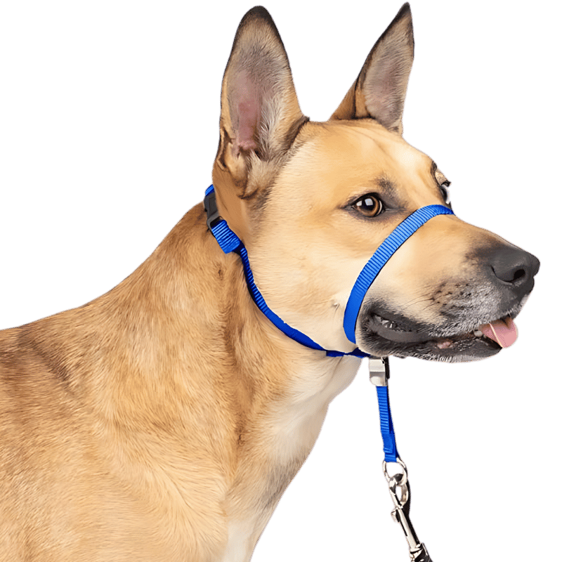 No Pull Hundehalsband mit gepolsterter Nasenschlaufe Blaues No-Pull Hundekopfgeschirr, verstellbarer Riemen, gepolsterte Nasenschlaufe, Größe S.