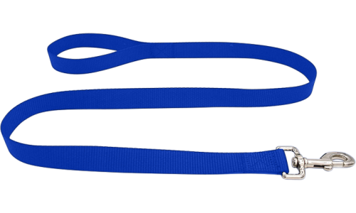 Haltbare blaue Nylon-Hundeleine 120 cm, leicht zu reinigen, strapazierfähiges Material und mit einem Verschluss.