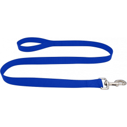 Haltbare blaue Nylon-Hundeleine 120 cm, leicht zu reinigen, strapazierfähiges Material und mit einem Verschluss.