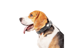 Schwarze reflektierende Hundemarke mit Airtag-Halter, verstellbar, leichtes Nylon, versiegelter Schutz und Haltbarkeit.
