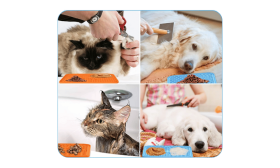 Ungiftige Hundeleckmatte mit Spatel