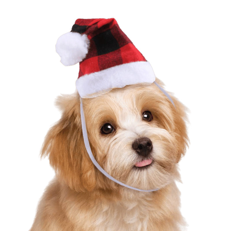 Weihnachtsmannmütze für Hunde und Katzen