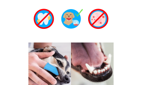 360º Silikon Fingerzahnbürste für Hunde 360º Silikon Fingerzahnbürste für Hunde