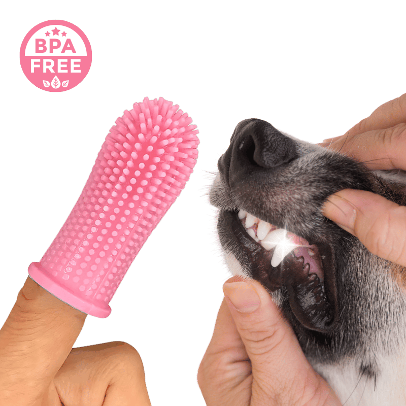 360º Silikon Fingerzahnbürste für Hunde