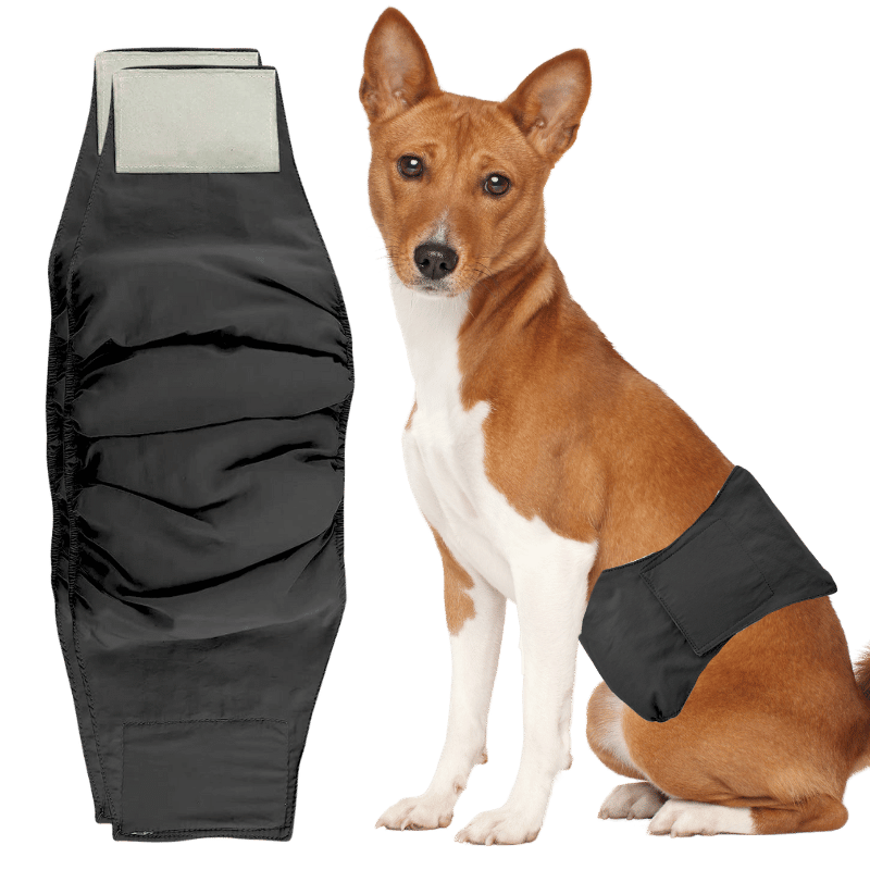 Premium waschbare Hundewindel für Rüden