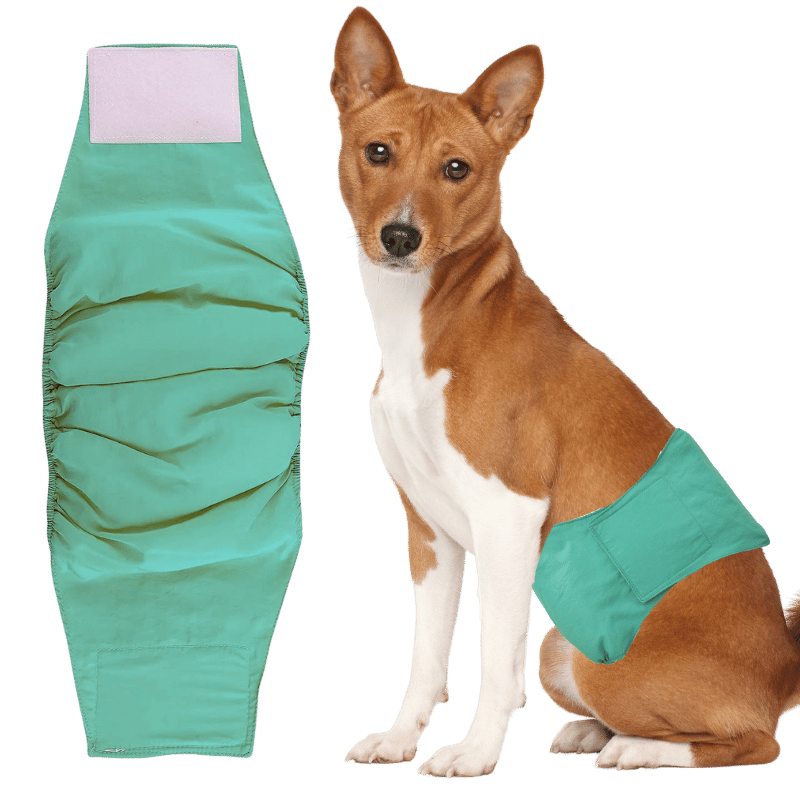 Premium waschbare Hundewindel für Rüden