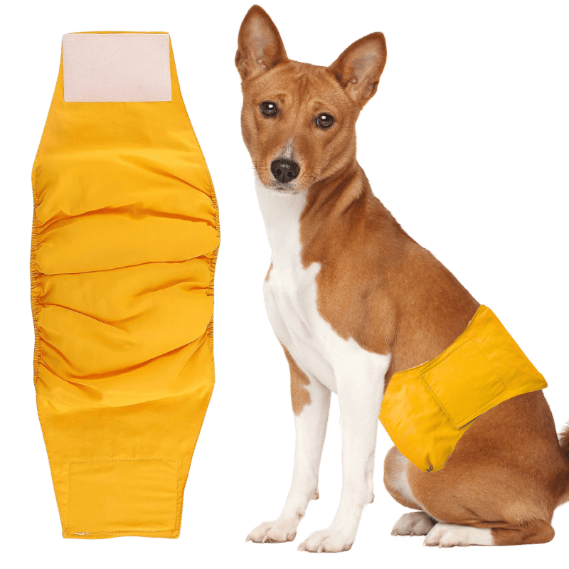 Premium waschbare Hundewindel für Rüden