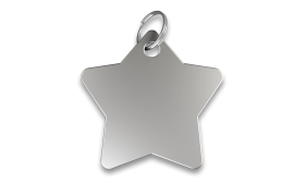 Hundemarke Stern Silberne, sternförmige Hundemarke mit glatter Oberfläche und silbernem Ring, personalisierbar mit graviertem Namen.