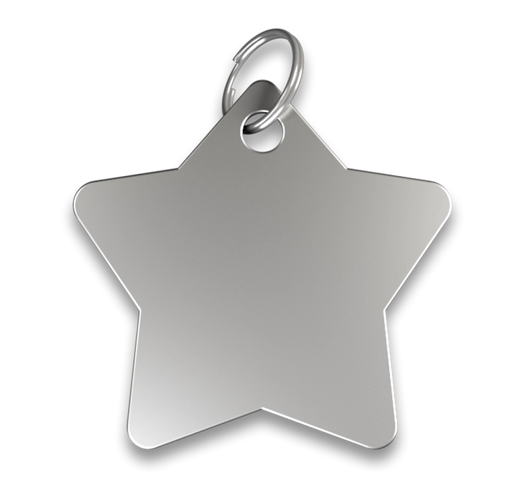 Hundemarke Stern Silberne, sternförmige Hundemarke mit glatter Oberfläche und silbernem Ring, personalisierbar mit graviertem Namen.
