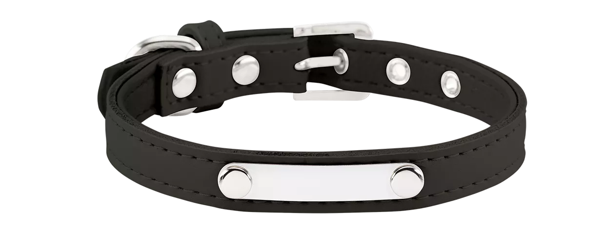 Klassisches Hundehalsband mit Gravur Klassisches schwarzes Hundehalsband mit eingebauter ID-Platte für die Gravur des Hundenamens, aus echtem Leder und langlebig.