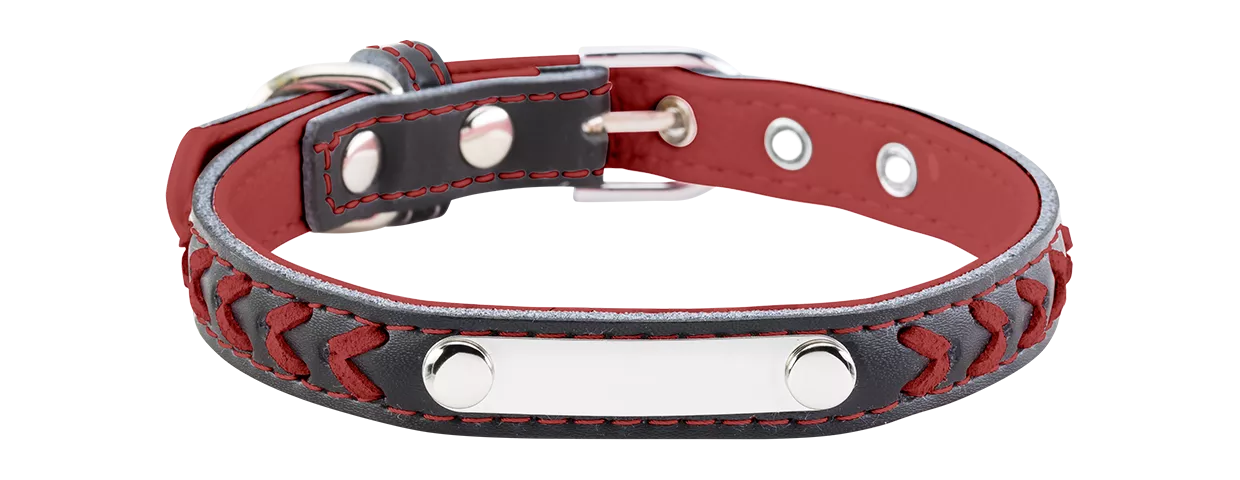 Geflochtenes Hundehalsband mit Gravur Geflochtenes rotes Hundehalsband mit eingebauter ID-Platte für die Gravur des Hundenamens, aus echtem Leder.