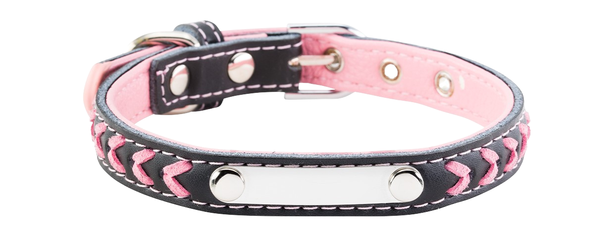 Geflochtenes Hundehalsband mit Gravur Geflochtenes pinkes Hundehalsband mit eingebauter ID-Platte für die Gravur des Hundenamens, aus echtem Leder.