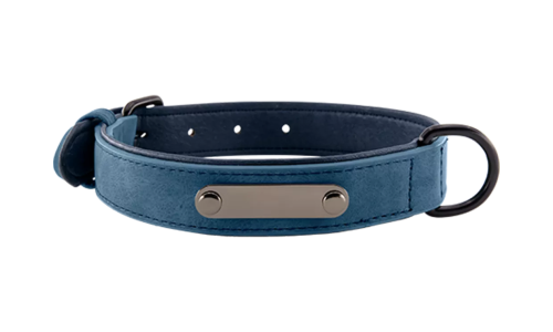 Luxuriöses Hundehalsband mit Samtgravur