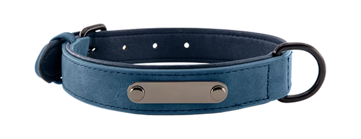 Luxuriöses Hundehalsband mit Samtgravur Blaues Luxus-Hundehalsband aus Samt mit eingebauter ID-Platte zur Gravur des Hundenamens, 35 - 37 cm lang, mit D-Ring.