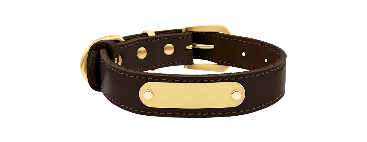 Luxuriöses Hundehalsband aus Echtem Leder mit Gravur Luxus Hundehalsband aus echtem Leder in Braun mit eingebauter goldener ID-Platte zur Gravur des Hundenamens, 47-51 cm lang.