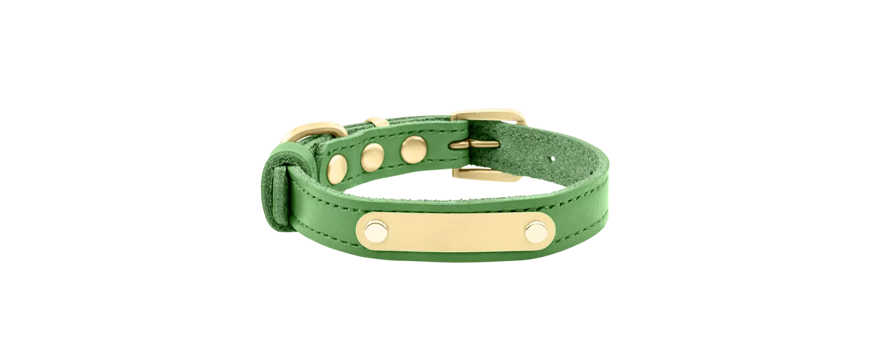Luxuriöses Hundehalsband aus Echtem Leder mit Gravur Luxus Hundehalsband aus echtem Leder in Grün mit eingebauter goldener ID-Platte zur Gravur des Hundenamens, 34-37 cm lang.
