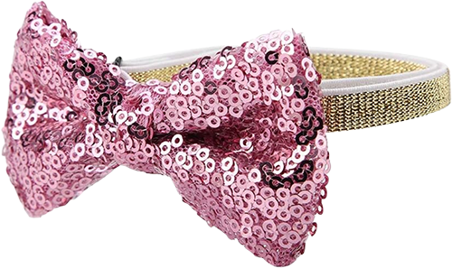 Glitzerndes Party Fliegenhalsband für Katzen & kleine Hunde