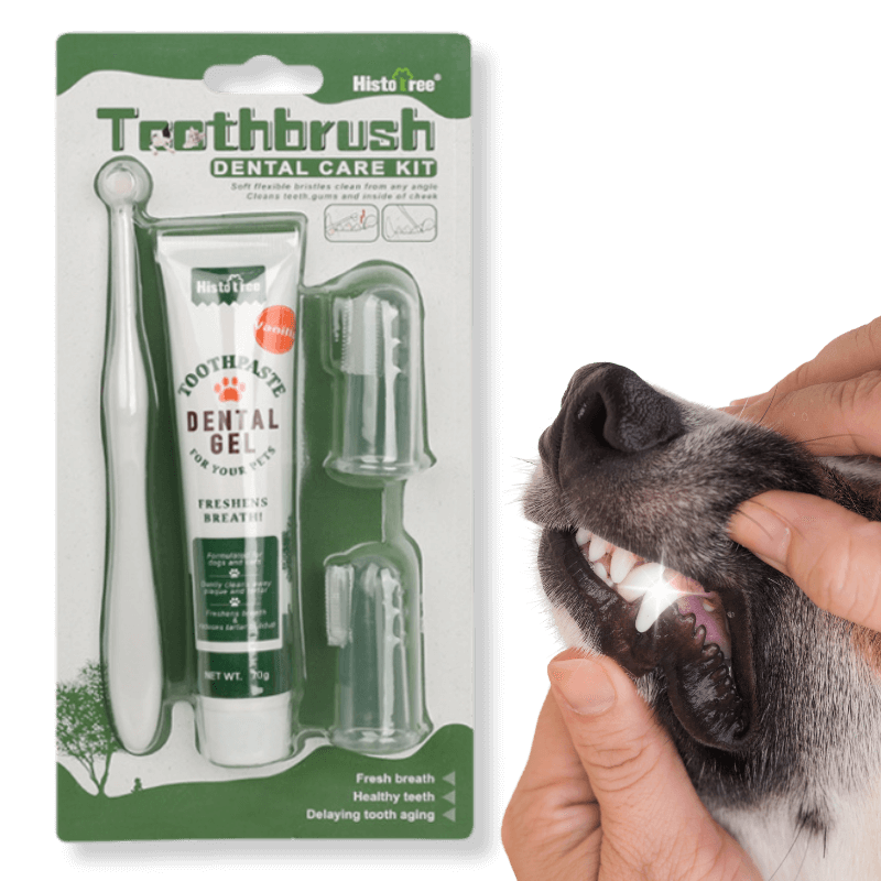 Komplettes Zahnpflegeset für Hunde: Zahnbürste, 2 Fingerbürsten und Vanille-Zahnpasta