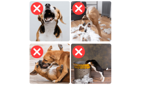 Verstellbarer, reflektierender Maulkorb für Hunde - atmungsaktiv und bequem