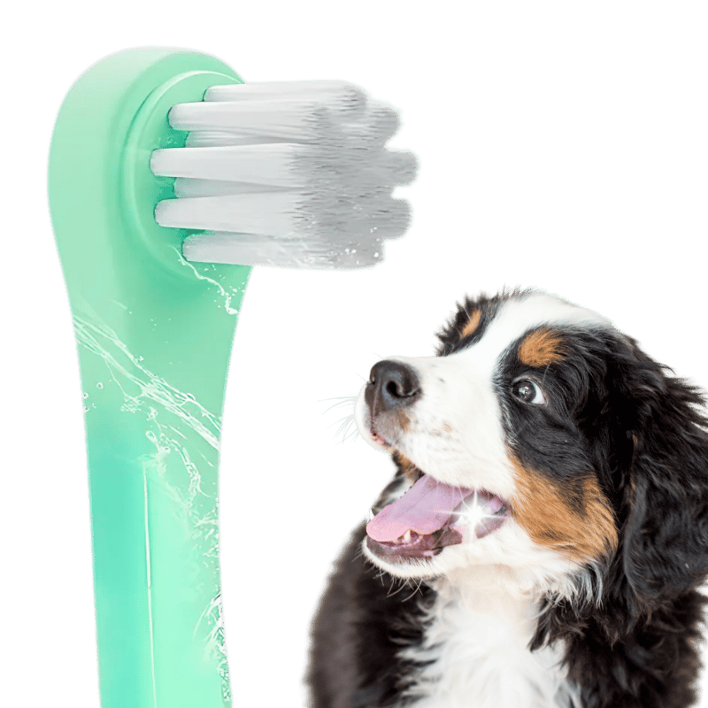 Gentle Clean Zahnbürste für Hunde und Katzen mit weichen Nylonborsten