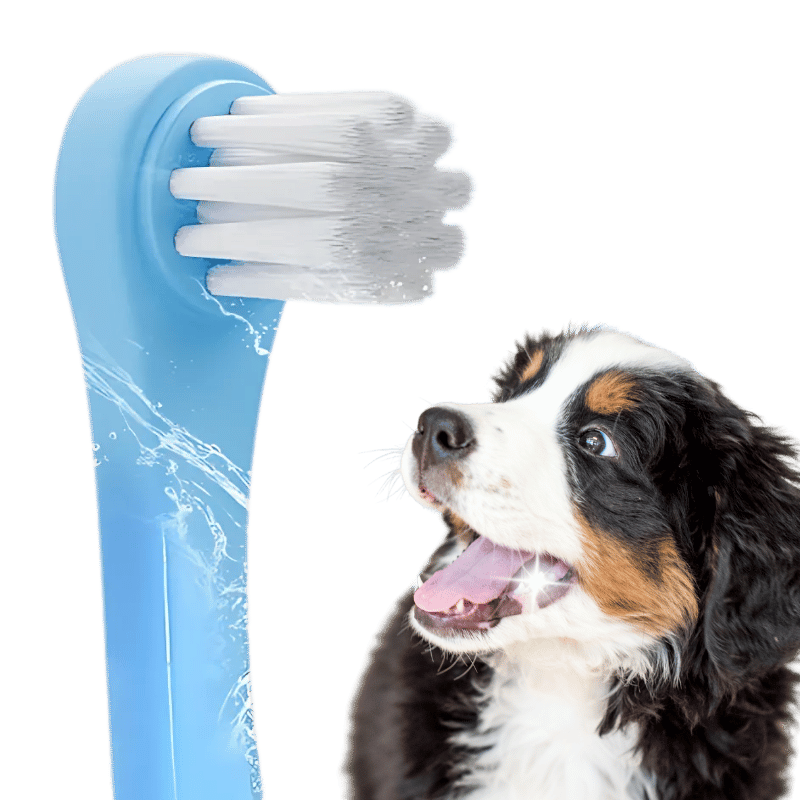 Gentle Clean Zahnbürste für Hunde und Katzen mit weichen Nylonborsten