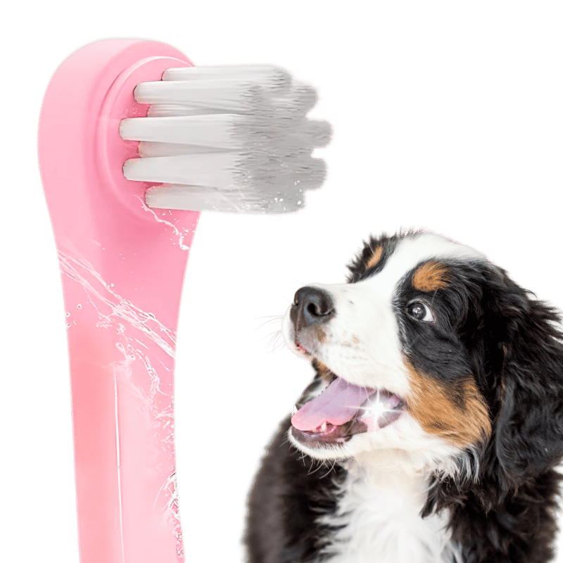 Gentle Clean Zahnbürste für Hunde und Katzen mit weichen Nylonborsten