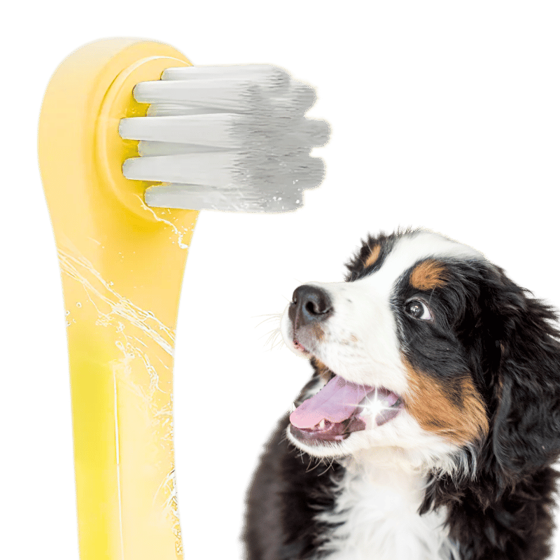 Gentle Clean Zahnbürste für Hunde und Katzen mit weichen Nylonborsten