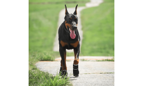 360° Reflektierende Hundeschuhe Wasserdicht – Rutschfeste Hundestiefel mit Pfotenschutz für maximale Sicherheit
